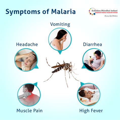 what are the symptoms of maleria